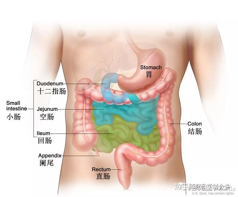 什么是癌症？