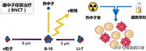Bnct硼中子治疗肿瘤2025最新消息——国内研发与应用进展 